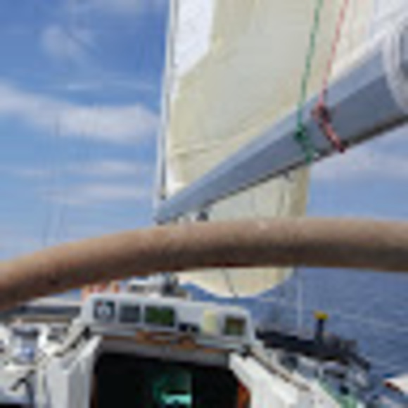 Meet your Posher, Bob - Picture 1 of 1